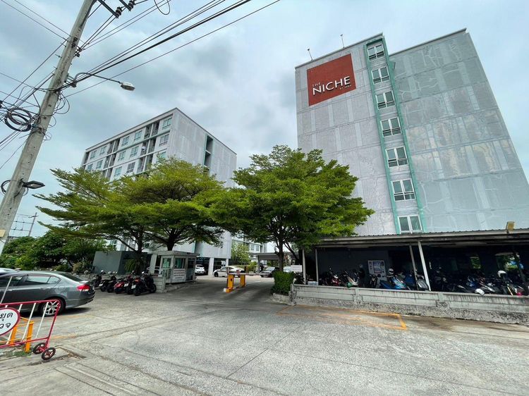 āđāļāđ ð āļāļāļāđāļ āļĨāļēāļāļāļĢāđāļēāļ§ āļĢāļēāļāļēāļāļīāđāļĻāļĐ! ð āļĢāļđāļāļāļĩāđ 3