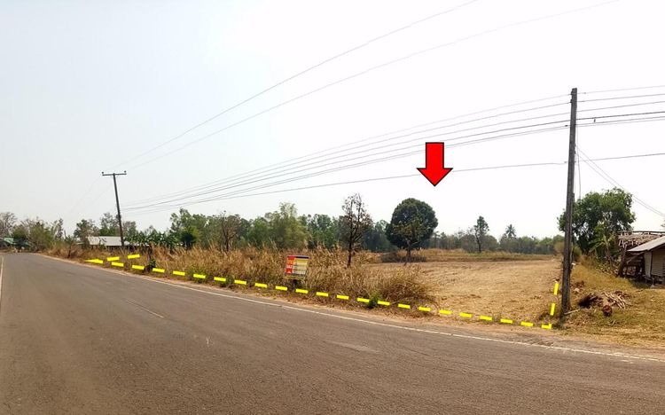 ใช่ 💖 ที่ดิน เขมราฐ ราคาพิเศษ! 💖 รูปที่ 3