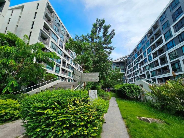 ใช่ 💖 คอนโด ลาดพร้าว ราคาพิเศษ! 💖 รูปที่ 4