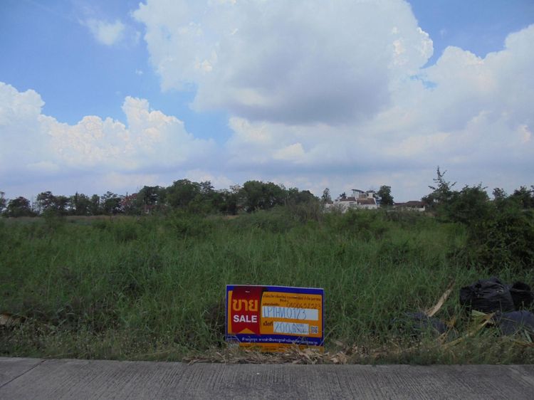 ใช่ 💖 ที่ดิน ธัญบุรี ราคาพิเศษ! 💖