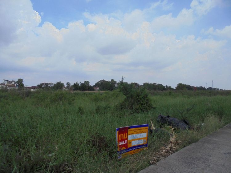 ใช่ 💖 ที่ดิน ธัญบุรี ราคาพิเศษ! 💖 รูปที่ 2