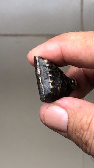 พระหลวงปู่ทวดหลังเตารีด พิมพ์ใหญ่ปั้มซ้ำ ปี 2505 รูปที่ 5