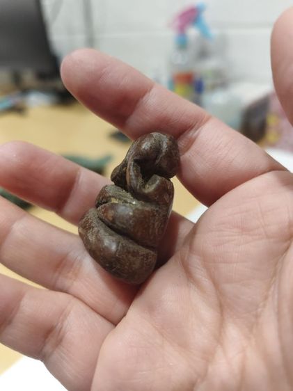 พระปิดตาไม่ทราบที่มา รูปที่ 2