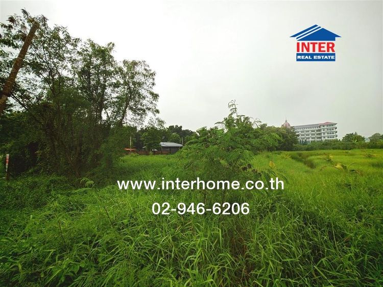 ไม่ใช่ ที่ดินเปล่า 587 ตร.ว. หมู่บ้านเวิลด์คลับแลนด์ ใกล้วัดพระธรรมกาย ถนนกาญจนาภิเษก ถนนคลองหลวง คลองหลวง ปทุมธานี รูปที่ 4