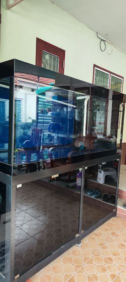 ขายตู้ปลาขนาดใหญ่สั่งทำพิเศษขนาดตู้ความยาว182cm.ความกว้าง76cm.ความลึก75cmข้างล่างมีชั้นเก็บของกว้างขวางกระจกหนาพิเศษสามารถเลี้ยงปลาขนาดใหญ่เช่นปลามังกรได้ ผู้ซื้อต้องนำคนและรถมาขนเอง สนใจติดต่อ0877727204 รูปที่ 2