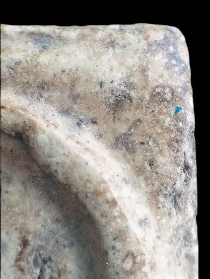 เกศบัวตูม. รูปที่ 12