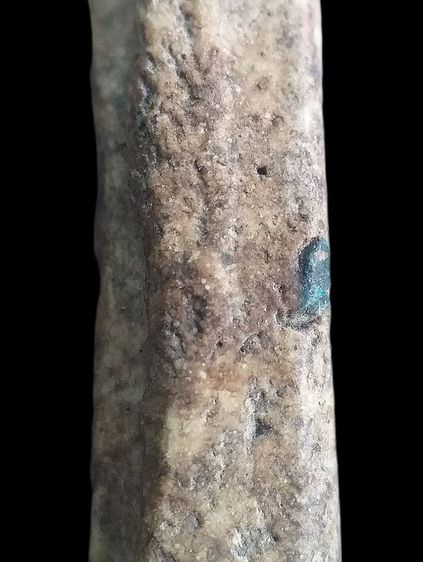 เกศบัวตูม. รูปที่ 18