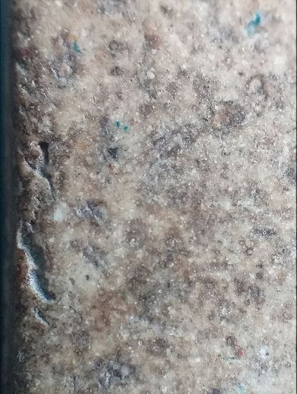 เกศบัวตูม. รูปที่ 14