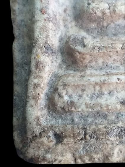 เกศบัวตูม. รูปที่ 11