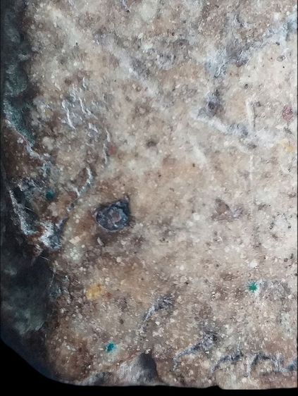 เกศบัวตูม. รูปที่ 15