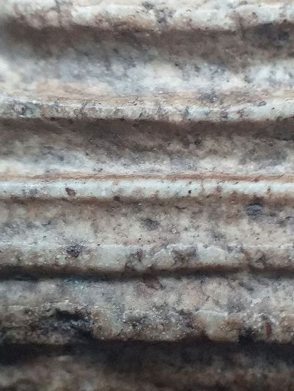 เกศบัวตูม. รูปที่ 8