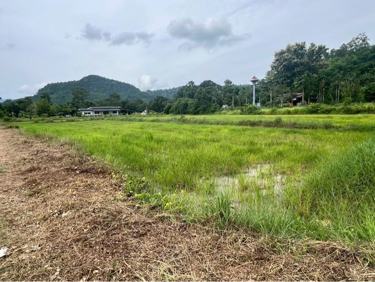 ขายที่ดินวิวภูเขา 1 ไร่ รูปที่ 3