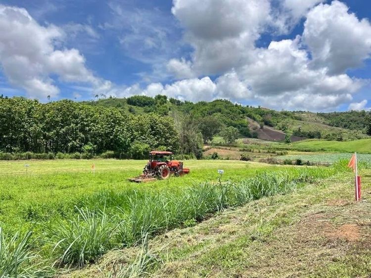 ใช่ เขาค้อนะโมแลนด์ ที่ดินแบ่งขาย  อยู่บ้านนายาวตำบลท่าสมอ เขาค้อ เพชรบูรณ์ ราคาพิเศษ ไร่ละ 2.8 ล้านบาท  รูปที่ 4