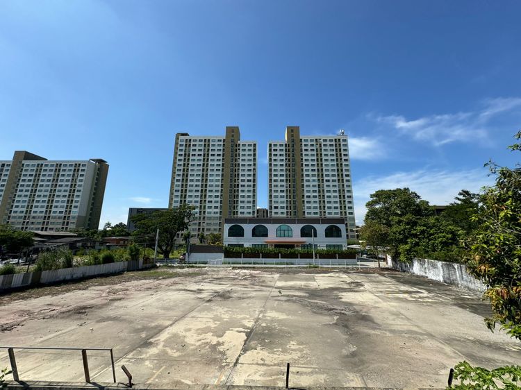 House and Land for rent at Lasaan 43 Special price Negotiable