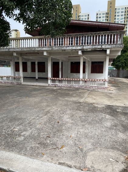 House and Land for rent at Lasaan 43 Special price Negotiable รูปที่ 3
