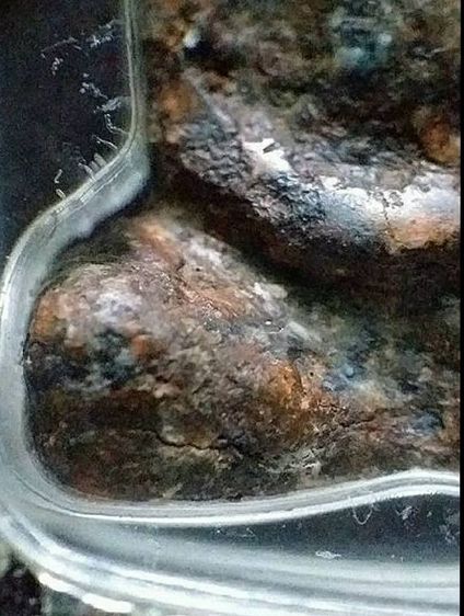 พระร่วงนั่งสนิมแดง. รูปที่ 5