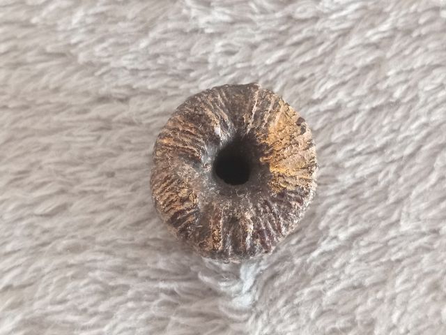 ตะกรุดพิสมร รูปที่ 3