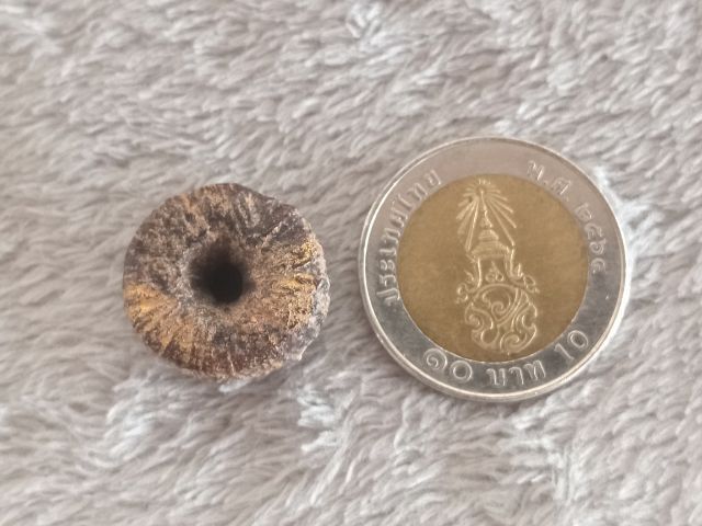 ตะกรุดพิสมร รูปที่ 11