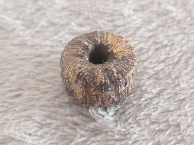 ตะกรุดพิสมร