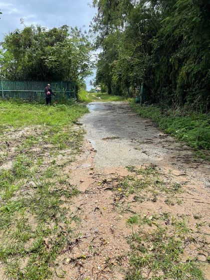 ไม่ใช่ ที่ดินเปล่า ศรีราชา ชลบุรี อยู่หลังนิคม WHA ทางตัดใหม่331 รูปที่ 2