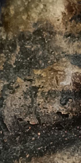 พระรูปหล่อหลวงพ่อเงิน วัดบางคลาดรุ่นแรกขี้ตาหล่อโบราณ รูปที่ 9