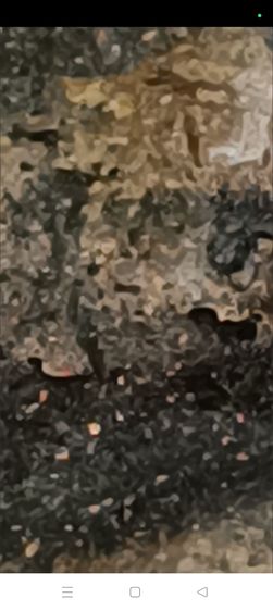 พระรูปหล่อหลวงพ่อเงิน วัดบางคลาดรุ่นแรกขี้ตาหล่อโบราณ รูปที่ 10