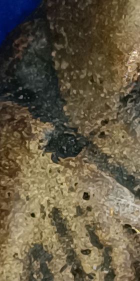 พระรูปหล่อหลวงพ่อเงิน วัดบางคลาดรุ่นแรกขี้ตาหล่อโบราณ รูปที่ 13