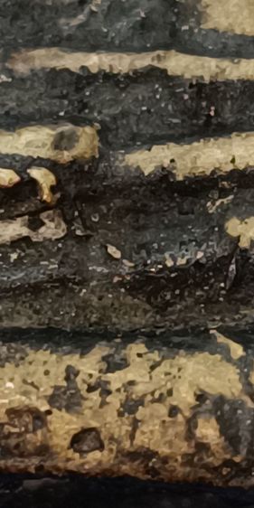 พระรูปหล่อหลวงพ่อเงิน วัดบางคลาดรุ่นแรกขี้ตาหล่อโบราณ รูปที่ 2