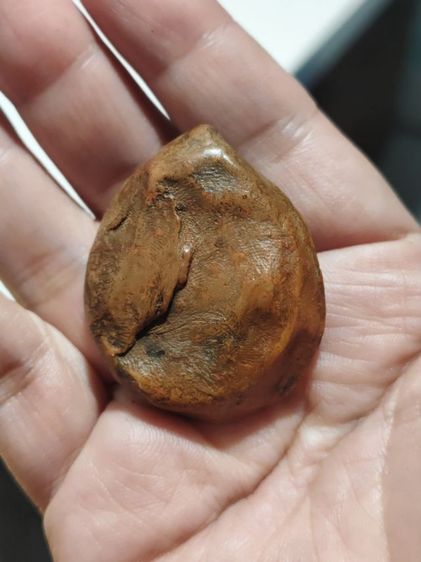 พระพิฆเนศไม่ทราบที่มา รูปที่ 5