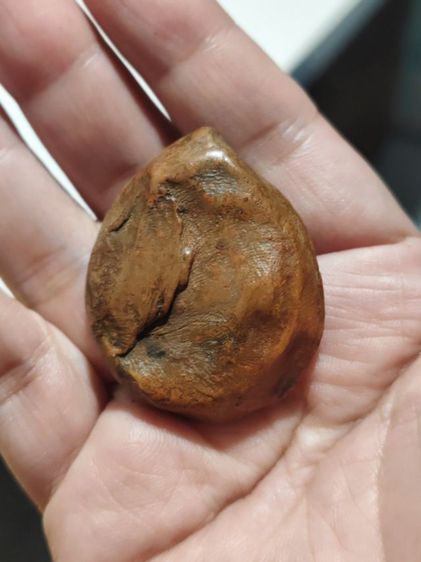 พระพิฆเนศไม่ทราบที่มา