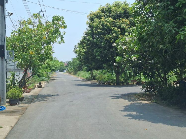 เจ้าของขายเอง ที่ดินถนนทวีวัฒนา-กาญจนาภิเษก (ซอยบ้านครู) 508 ตรม ที่สวยทำเลเยี่ยม หลังติดคลอง ใกล้ถนนพระเทพตัดใหม่ รูปที่ 2