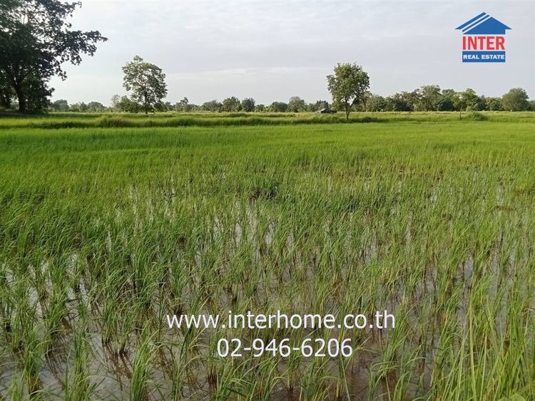 ไม่ใช่ ที่ดินเปล่า 14 ไร่ 298 ตร.ว. ที่ดินเปล่า ใกล้แหล่งชุมชน ถนนมิตรภาพ ถนนคูขาดเมืองคง คง นครราชสีมา รูปที่ 4