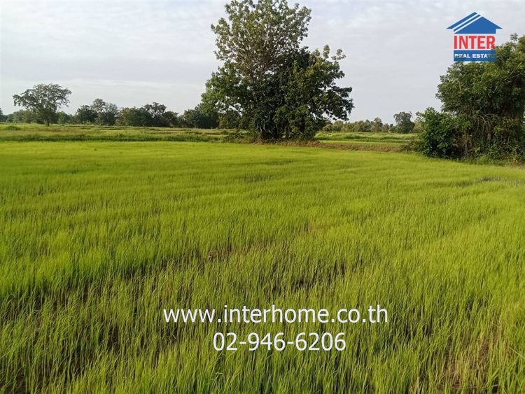 ไม่ใช่ ที่ดินเปล่า 14 ไร่ 298 ตร.ว. ที่ดินเปล่า ใกล้แหล่งชุมชน ถนนมิตรภาพ ถนนคูขาดเมืองคง คง นครราชสีมา รูปที่ 2
