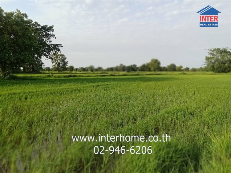 ไม่ใช่ ที่ดินเปล่า 14 ไร่ 298 ตร.ว. ที่ดินเปล่า ใกล้แหล่งชุมชน ถนนมิตรภาพ ถนนคูขาดเมืองคง คง นครราชสีมา รูปที่ 3