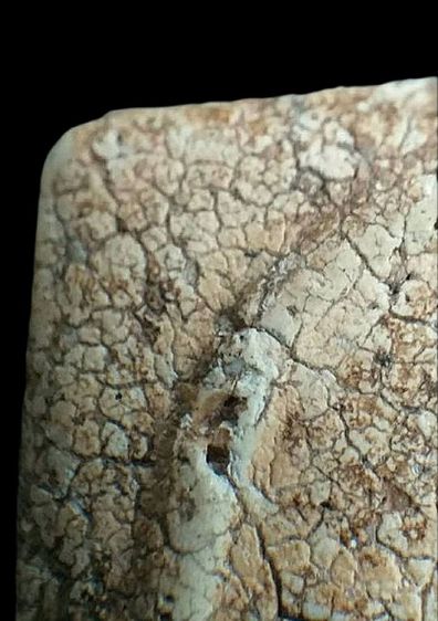 ตอกโค๊ตระฆังฯ. รูปที่ 7