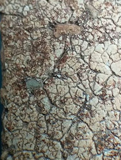 ตอกโค๊ตระฆังฯ. รูปที่ 12