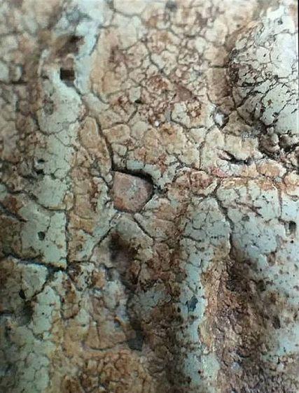 ตอกโค๊ตระฆังฯ. รูปที่ 8