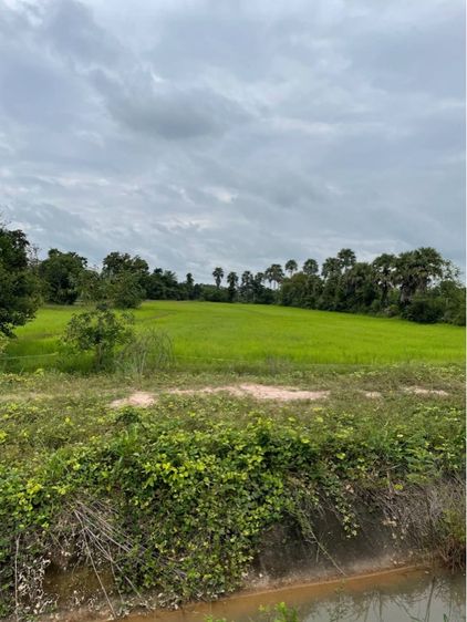 ขายที่ดิน 19 ไร่ กบินทร์บุรี โฉนดครุฑแดง ราคาต่อรองได้ รูปที่ 4