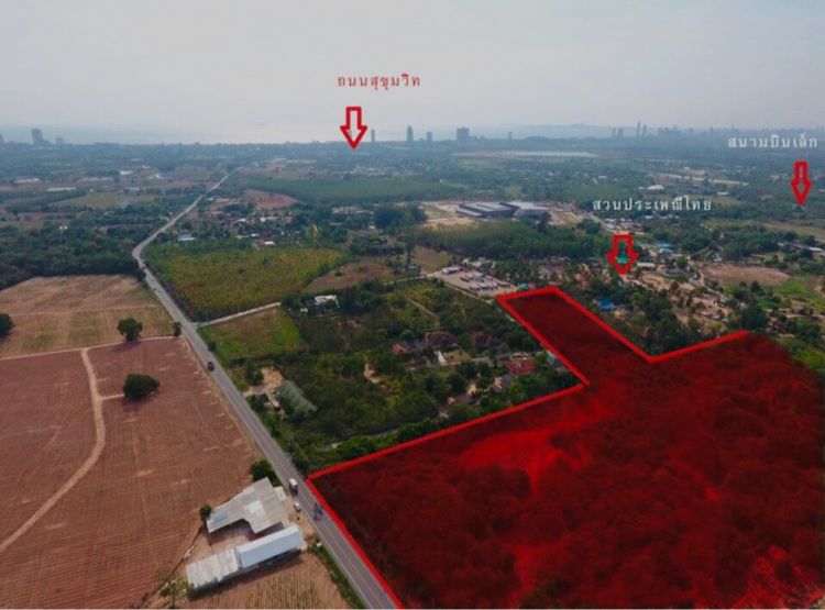 ประกาศขายที่ดินเปล่า สนามกอล์ฟฟินิกซ์ บางละมุง ชลบุรี แปลงใหญ่ หน้ากว้าง ติดถนน รูปที่ 3