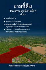 ประกาศขายที่ดินเปล่า สนามกอล์ฟฟินิกซ์ บางละมุง ชลบุรี แปลงใหญ่ หน้ากว้าง ติดถนน