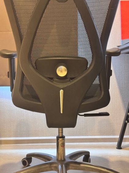 เก้าอี้ทำงาน เก้าอี้สำนักงาน Sihoo Smart m18  รูปที่ 12
