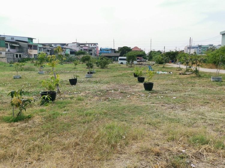 ที่ดิน รูปที่ 2