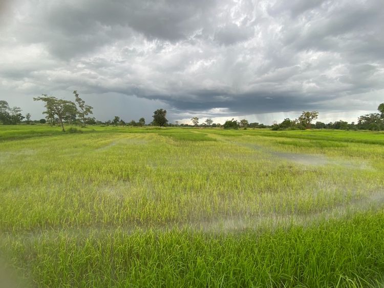 ประกาศขาย ที่นา เนื้อที่ประมาณ 12 ไร่ ในเขตตำบลหนองระเวียง อำเภอเมือง จังหวัดนครราชสีมา รูปที่ 4