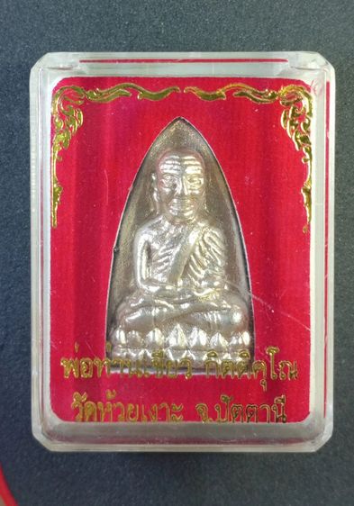 หลวงปู่ทวด 5 ทศวรรษ พ่อท่านเขียว รูปที่ 3