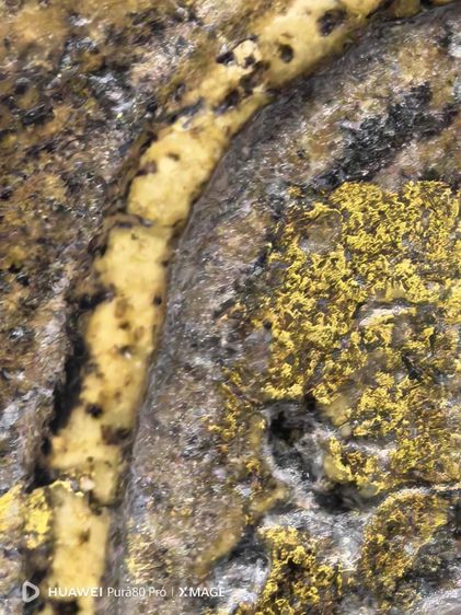 พระสมเด็จพิมพ์ใหญ่ รูปที่ 2