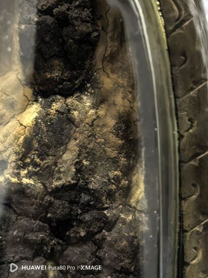 หลวงปู่ทวด วัดด่าน จ.ระนอง รูปที่ 7