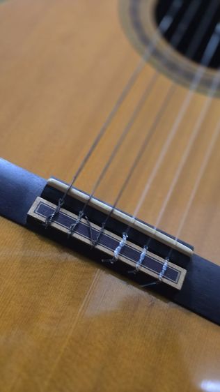 ขาย Takamine Classic made in japan กีต้าร์คลาสสิกเสียงหวาน ใสกริ๊ง รูปที่ 18