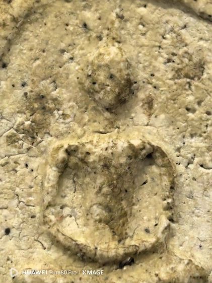 พระสมเด็จไทย รูปที่ 17