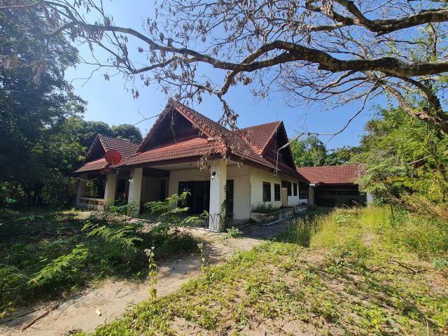 ขายที่ดินกว่า 1ไร่แถมบ้าน หางแดงเชียงใหม่ รูปที่ 2