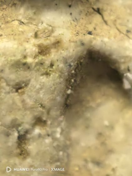 พระสมเด็จพิมพ์ไกเซอร์ รูปที่ 9